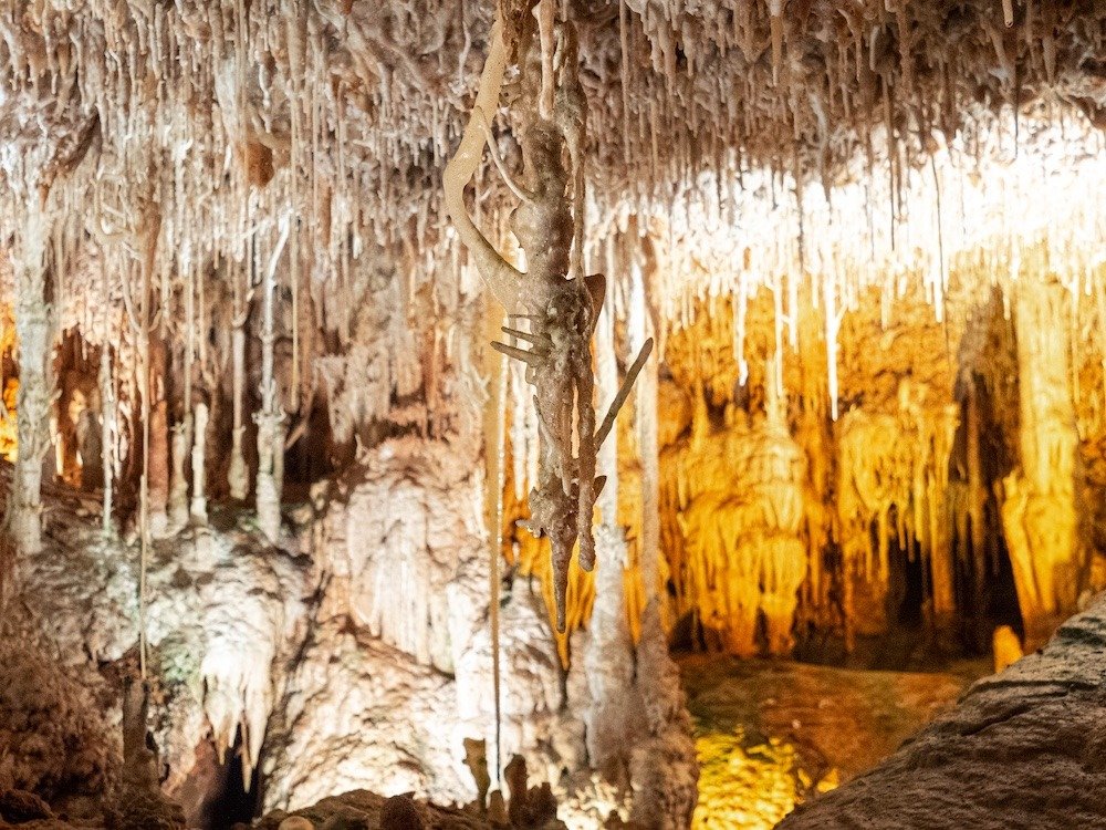 imgi_7_excursion-67d4085b4d7d8