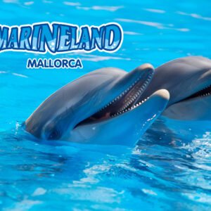 Excursión Marineland Mallorca