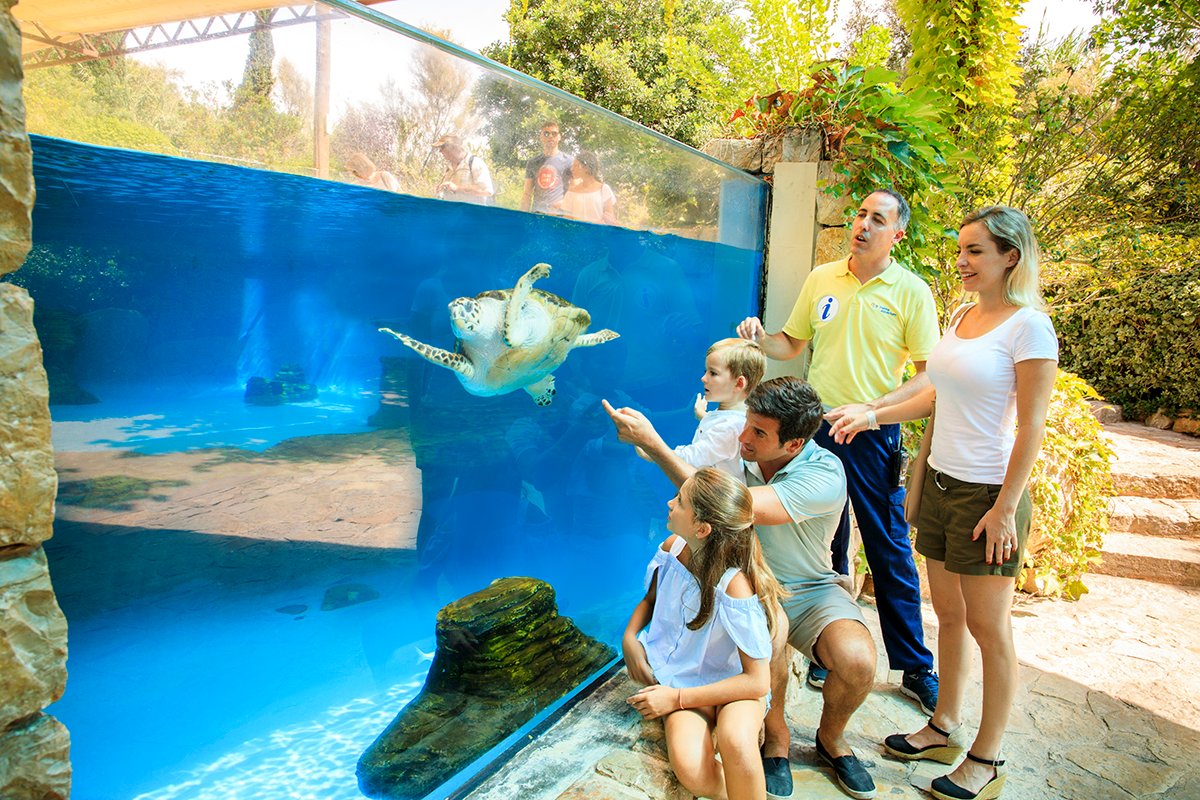 Jardines - Tortugas - Familia - 868
