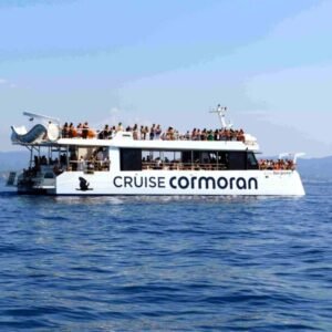 CORMORAN Dolphin Watch Palma 10:30 (Transfer desde Arenal)