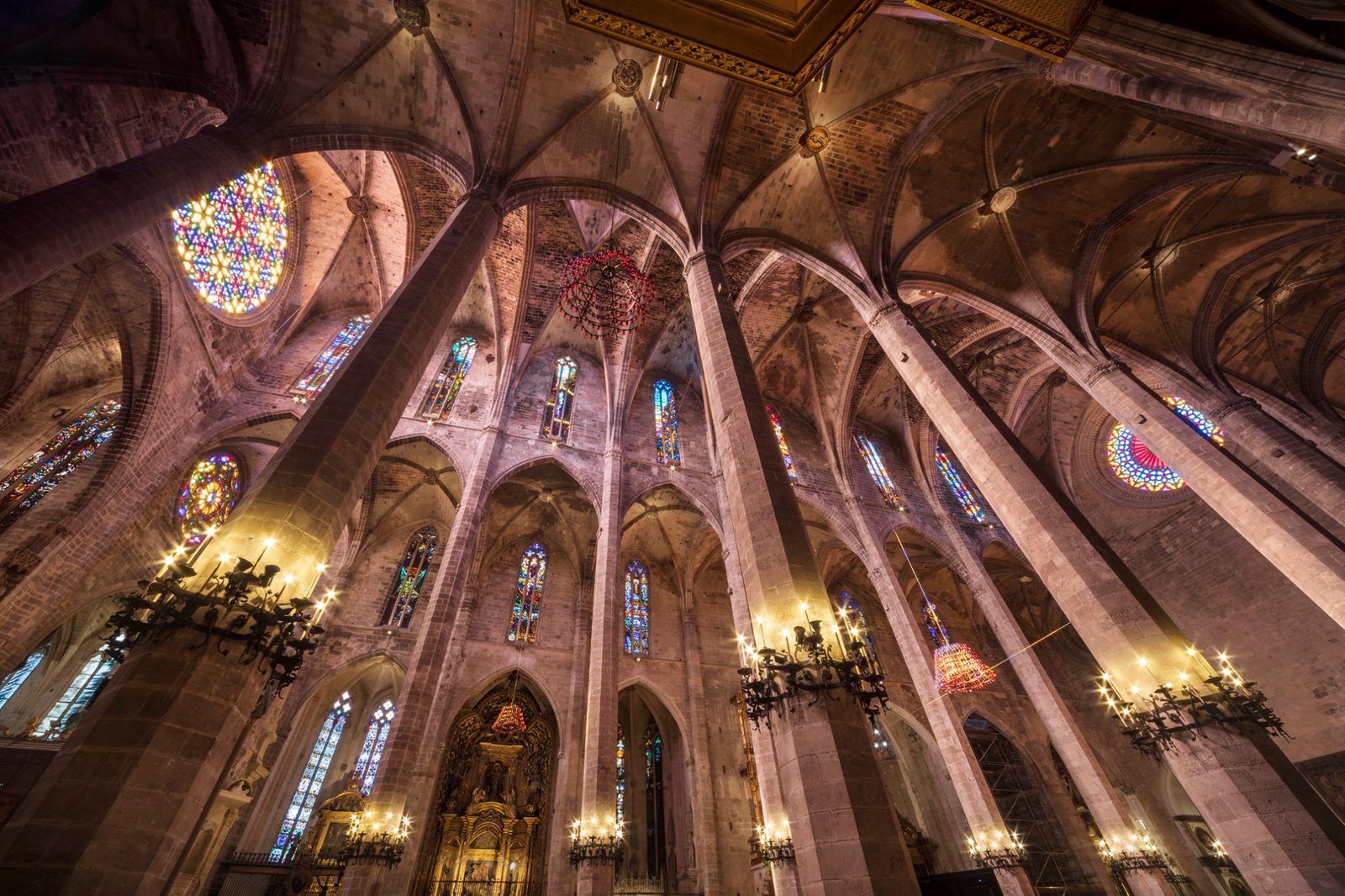 89533990_2750162018372576_8704891406017101824_o